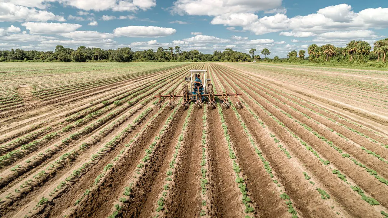 health-wellness-grown-farm-fields-tractor