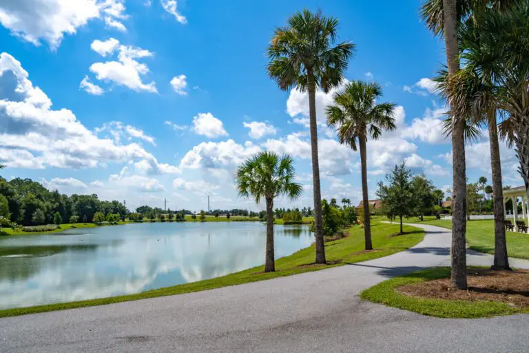 trails-parks-everglades-pathway-05