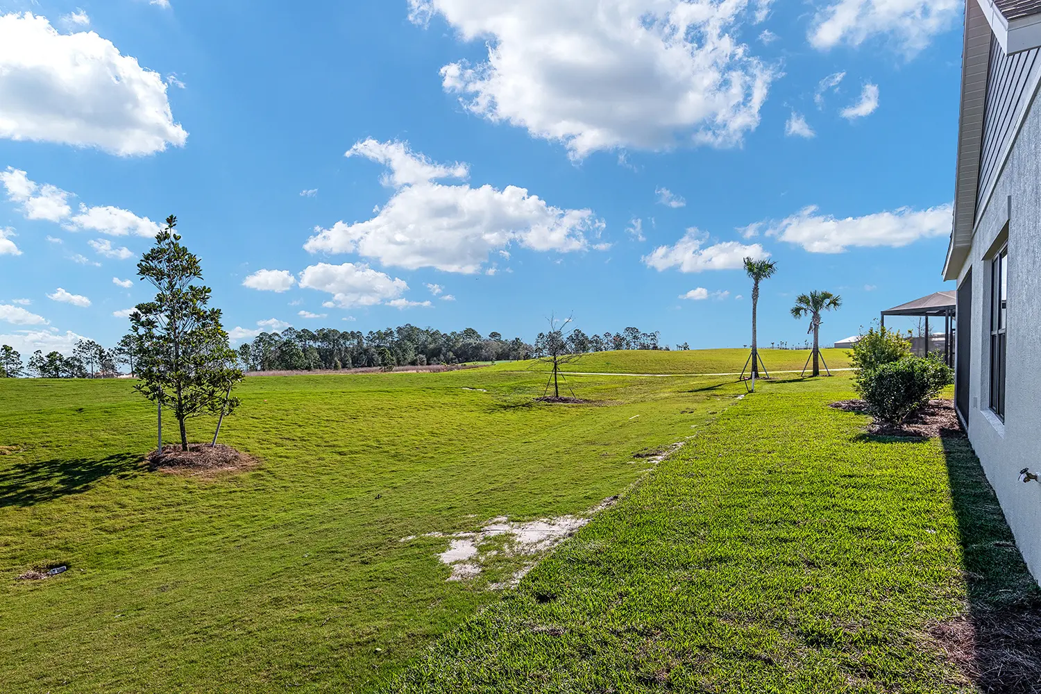 premier-wexford-street-of-dreams-backyard