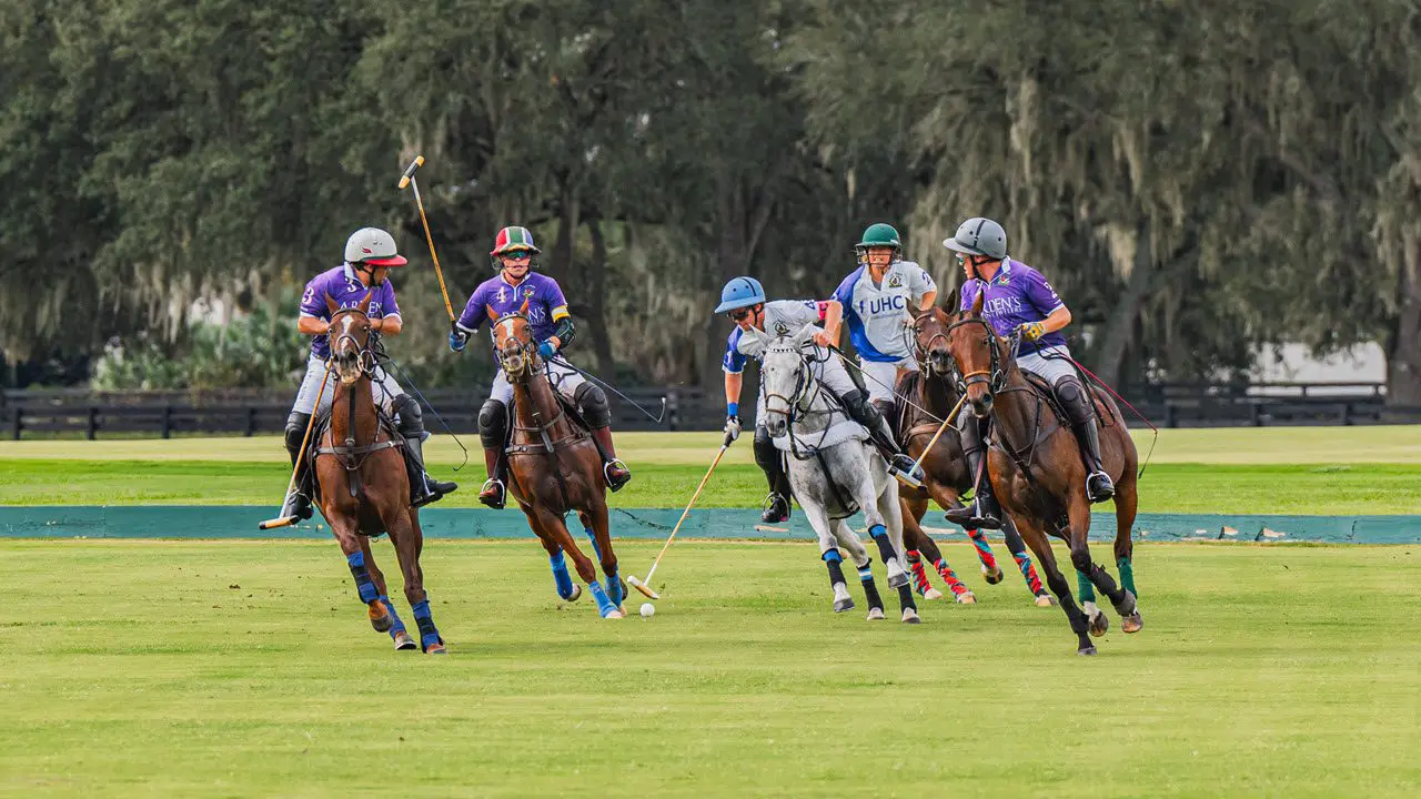 entertainment-venues-polo-club-match