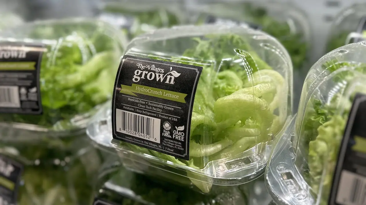 health-wellness-grown-shop-lettuce