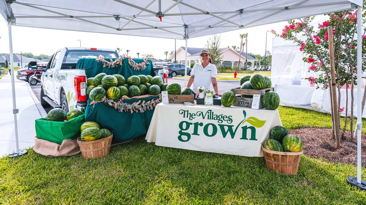 health-wellness-grown-watermelon-stand-franklin-grand-opening